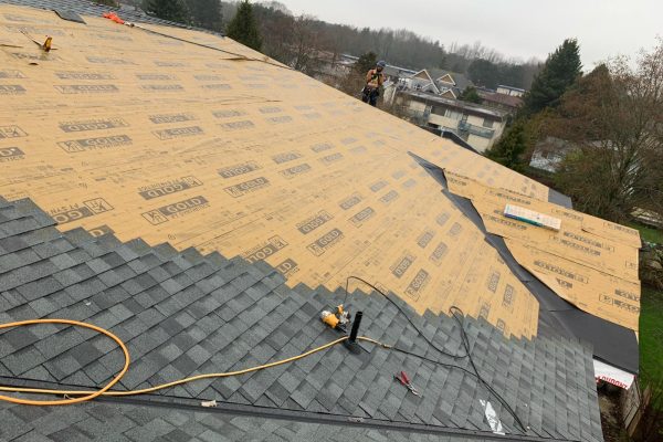 Shingle WIP
