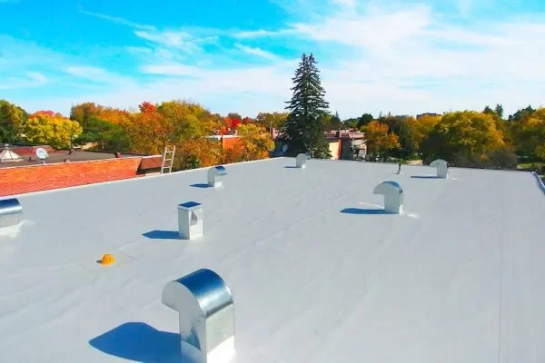 TPO-Residential-r6elyyszthxg8tbfhgcgby2lejdnen7tfxm1u7fnvk